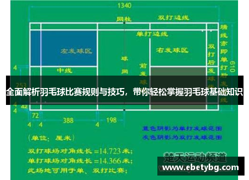 全面解析羽毛球比赛规则与技巧，带你轻松掌握羽毛球基础知识